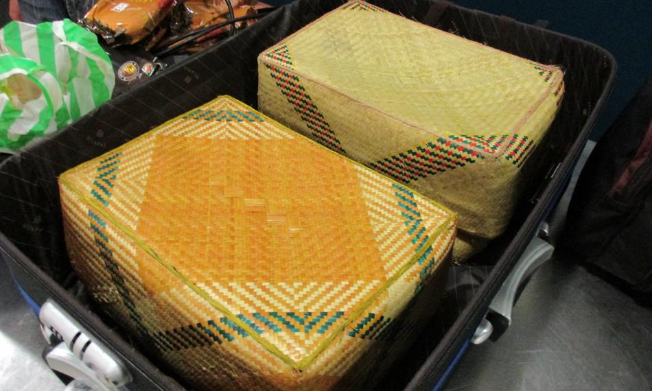 2016-6-3-137foto 3.JPG